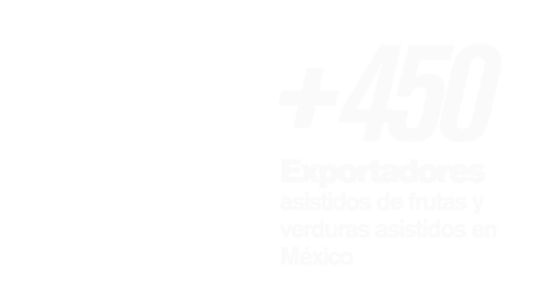 +450 Exportadores asistidos de frutas y verduras en México
